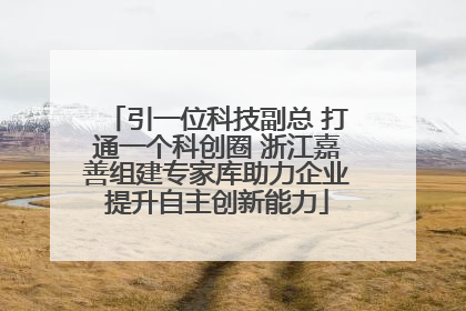 引一位科技副总 打通一个科创圈 浙江嘉善组建专家库助力企业提升自主创新能力
