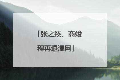 张之臻、商竣程再退温网