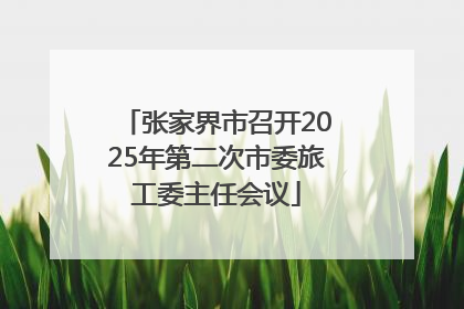 张家界市召开2025年第二次市委旅工委主任会议