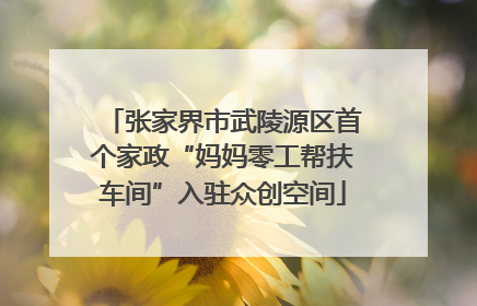 张家界市武陵源区首个家政“妈妈零工帮扶车间”入驻众创空间