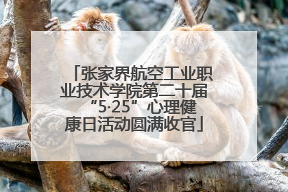 张家界航空工业职业技术学院第二十届“5·25”心理健康日活动圆满收官
