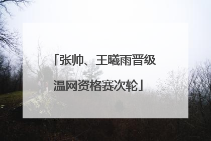 张帅、王曦雨晋级温网资格赛次轮
