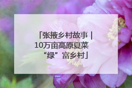 张掖乡村故事｜10万亩高原夏菜“绿”富乡村