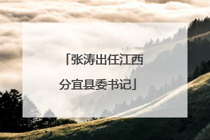 张涛出任江西分宜县委书记