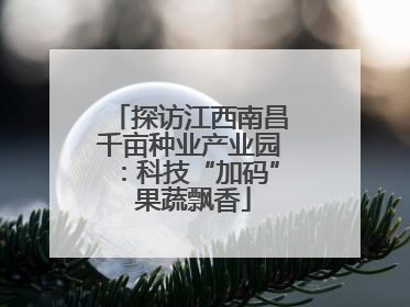 探访江西南昌千亩种业产业园：科技“加码” 果蔬飘香