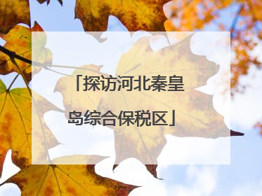 探访河北秦皇岛综合保税区