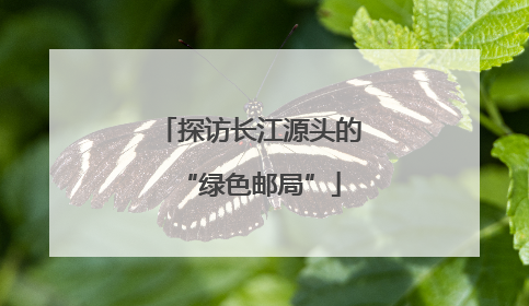 探访长江源头的“绿色邮局”