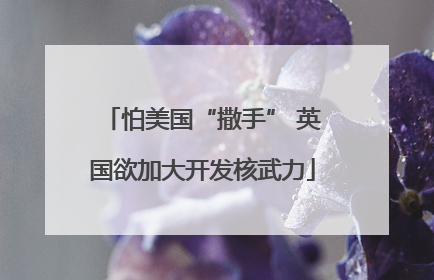 怕美国“撒手” 英国欲加大开发核武力