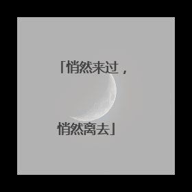 悄然来过，悄然离去