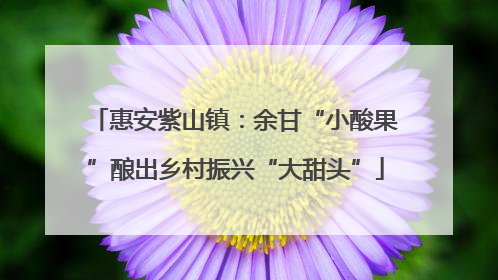 惠安紫山镇：余甘“小酸果”酿出乡村振兴“大甜头”
