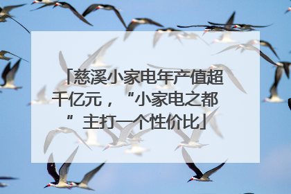 慈溪小家电年产值超千亿元，“小家电之都”主打一个性价比
