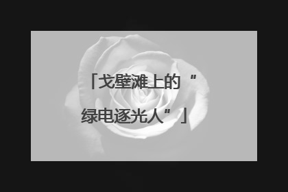 戈壁滩上的“绿电逐光人”