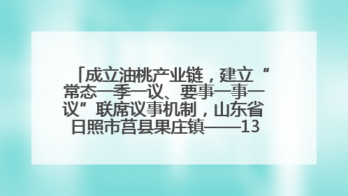 成立油桃产业链，建立“常态一季一议、要事一事一议”联席议事机制，山东省日照市莒县果庄镇——13个党小组“全周期”育果