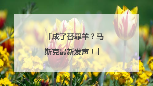 成了替罪羊？马斯克最新发声！