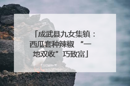 成武县九女集镇：西瓜套种辣椒 “一地双收”巧致富