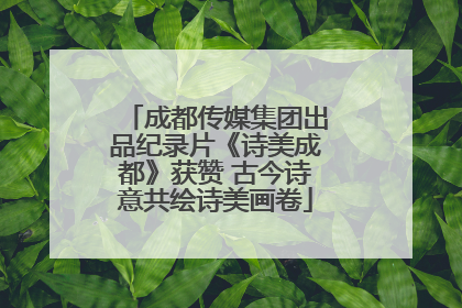 成都传媒集团出品纪录片《诗美成都》获赞 古今诗意共绘诗美画卷