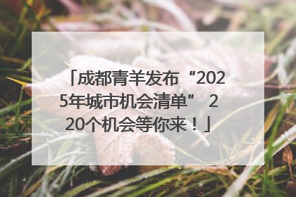 成都青羊发布“2025年城市机会清单” 220个机会等你来！