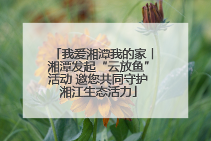 我爱湘潭我的家丨湘潭发起“云放鱼”活动 邀您共同守护湘江生态活力
