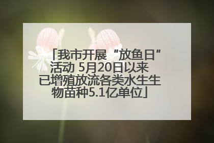 我市开展“放鱼日”活动 5月20日以来已增殖放流各类水生生物苗种5.1亿单位