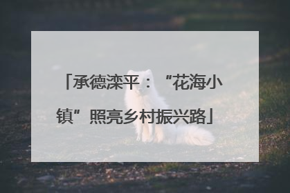 承德滦平：“花海小镇”照亮乡村振兴路