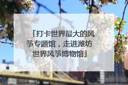 打卡世界最大的风筝专题馆，走进潍坊世界风筝博物馆