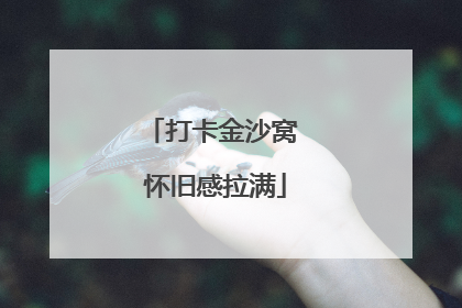 打卡金沙窝 怀旧感拉满