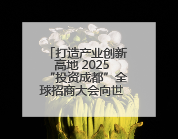 打造产业创新高地 2025“投资成都”全球招商大会向世界发出邀约