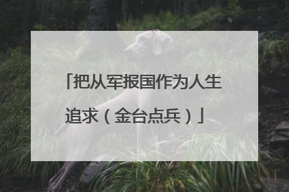 把从军报国作为人生追求（金台点兵）