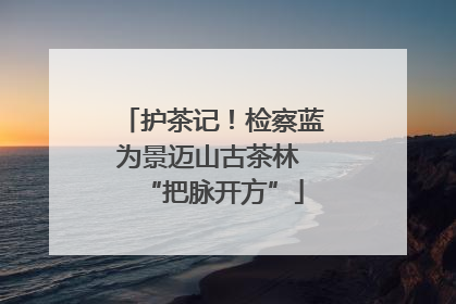 护茶记！检察蓝为景迈山古茶林 “把脉开方”