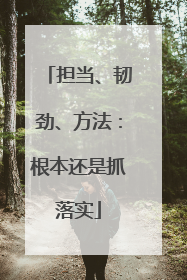 担当、韧劲、方法：根本还是抓落实
