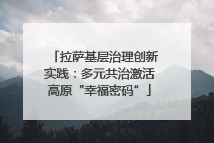 拉萨基层治理创新实践：多元共治激活高原“幸福密码”
