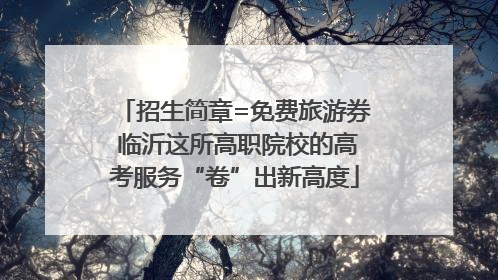 招生简章=免费旅游券 临沂这所高职院校的高考服务“卷”出新高度
