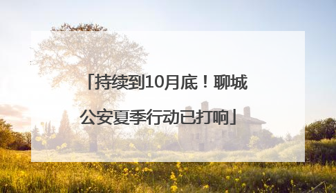 持续到10月底！聊城公安夏季行动已打响