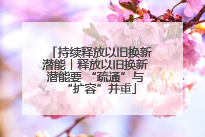 持续释放以旧换新潜能丨释放以旧换新潜能要 “疏通”与“扩容”并重