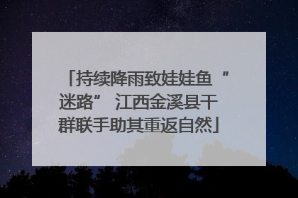 持续降雨致娃娃鱼“迷路” 江西金溪县干群联手助其重返自然