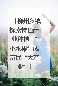柳州乡镇探索特色产业种植 “小水果”成富民“大产业”