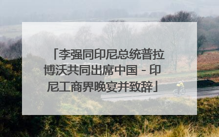 李强同印尼总统普拉博沃共同出席中国－印尼工商界晚宴并致辞