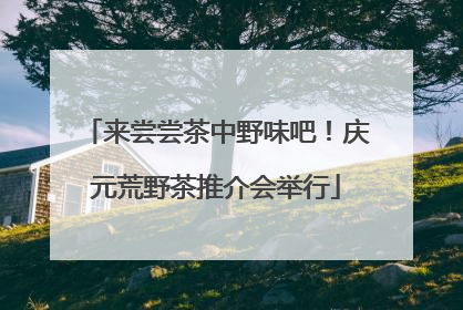 来尝尝茶中野味吧！庆元荒野茶推介会举行