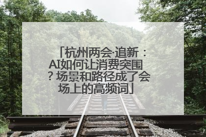 杭州两会·追新：AI如何让消费突围？场景和路径成了会场上的高频词