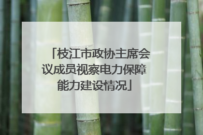 枝江市政协主席会议成员视察电力保障能力建设情况