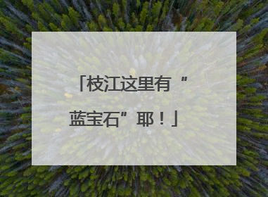 枝江这里有“蓝宝石”耶！