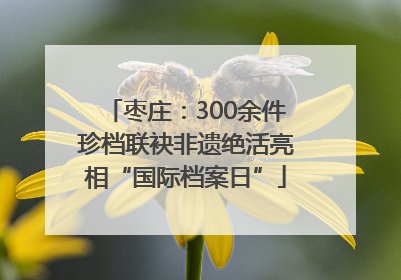枣庄：300余件珍档联袂非遗绝活亮相“国际档案日”