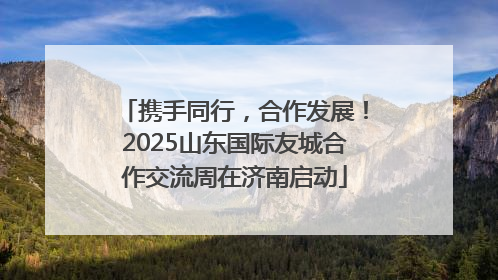 携手同行，合作发展！2025山东国际友城合作交流周在济南启动