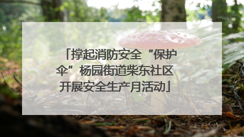 撑起消防安全“保护伞”杨园街道柴东社区开展安全生产月活动