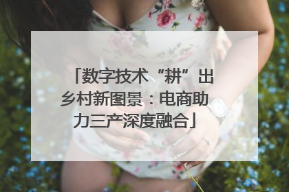 数字技术“耕”出乡村新图景：电商助力三产深度融合