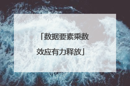 数据要素乘数效应有力释放