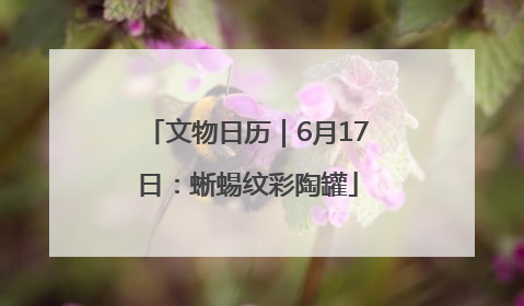 文物日历｜6月17日：蜥蜴纹彩陶罐