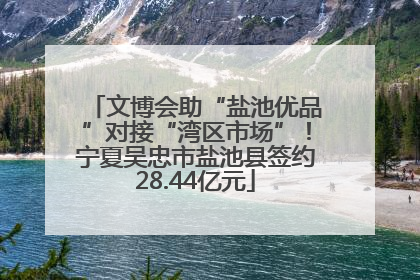 文博会助“盐池优品”对接“湾区市场”！宁夏吴忠市盐池县签约28.44亿元