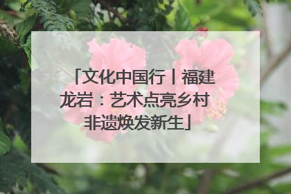 文化中国行丨福建龙岩：艺术点亮乡村 非遗焕发新生