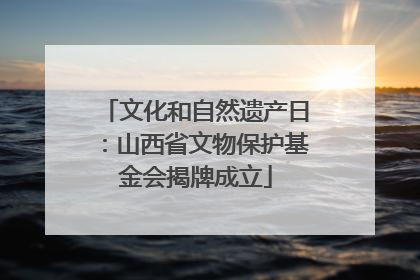 文化和自然遗产日：山西省文物保护基金会揭牌成立